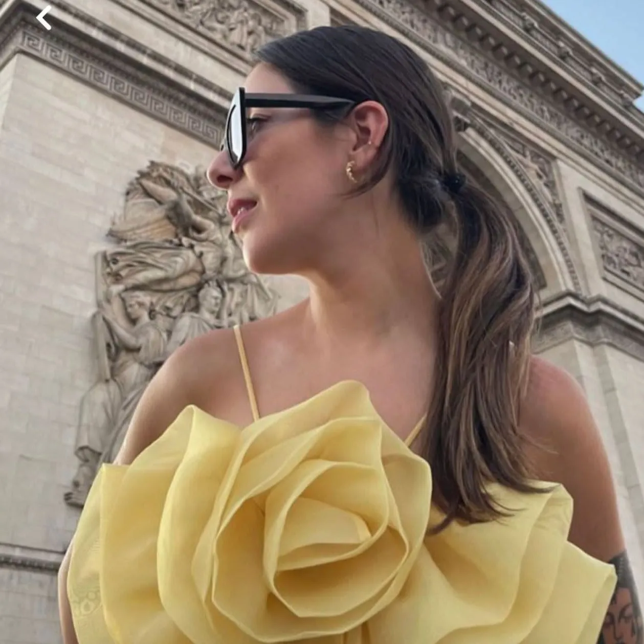 Aviva Bustier