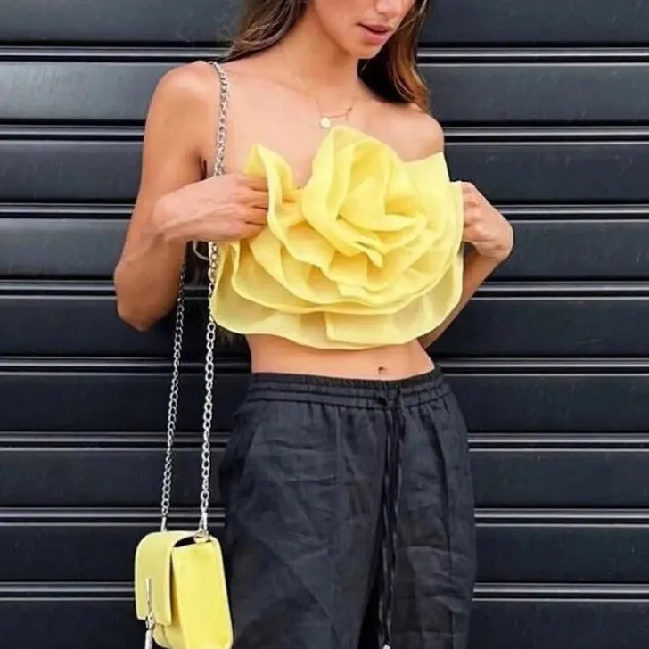 Aviva Bustier