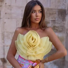 Aviva Bustier