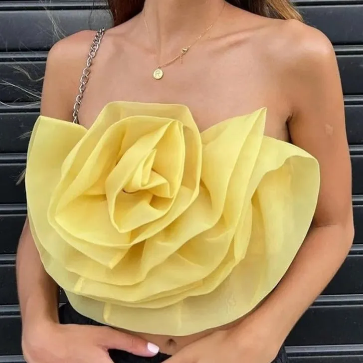 Aviva Bustier