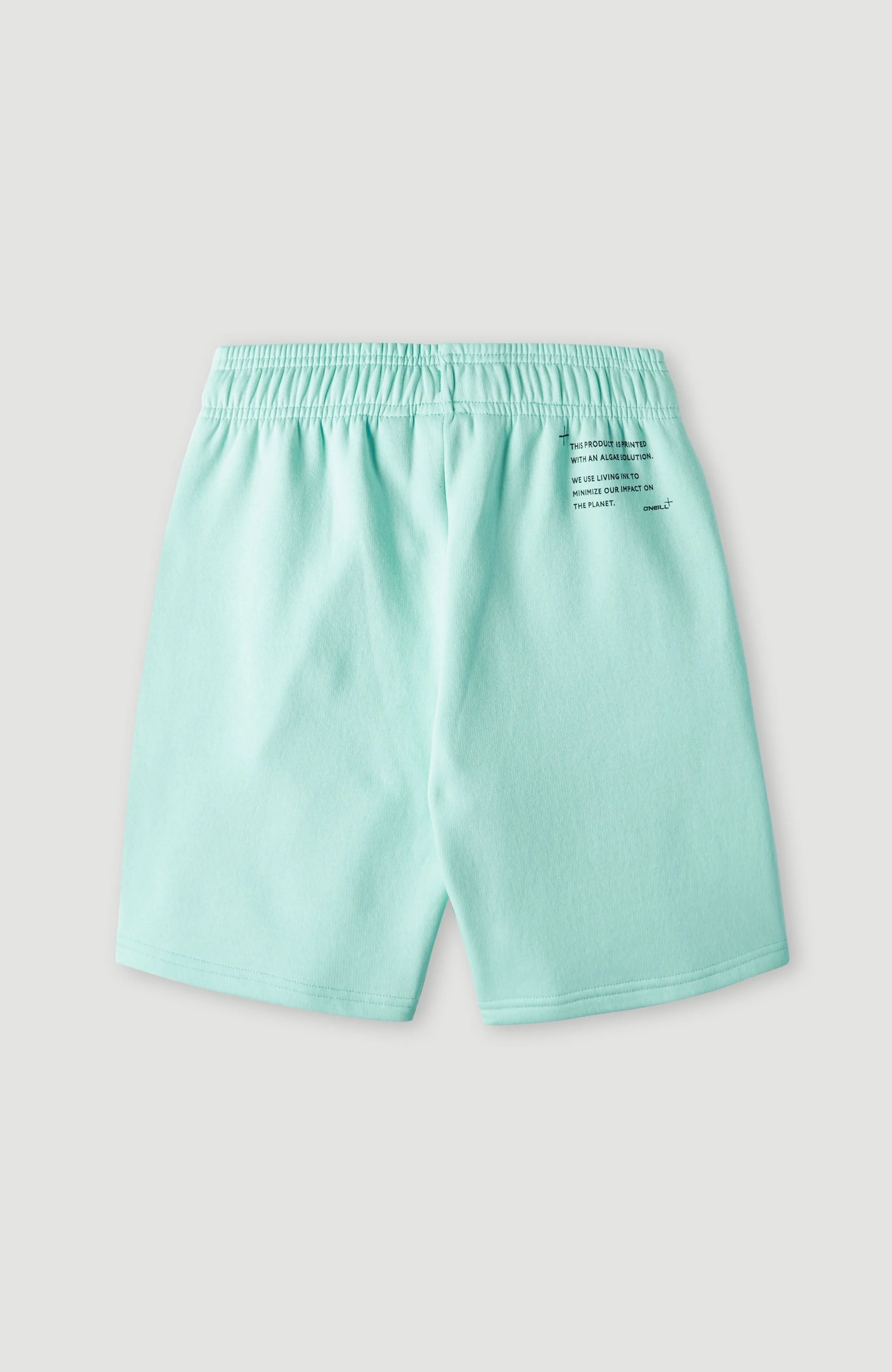 Future Surf Short | Beach Glass